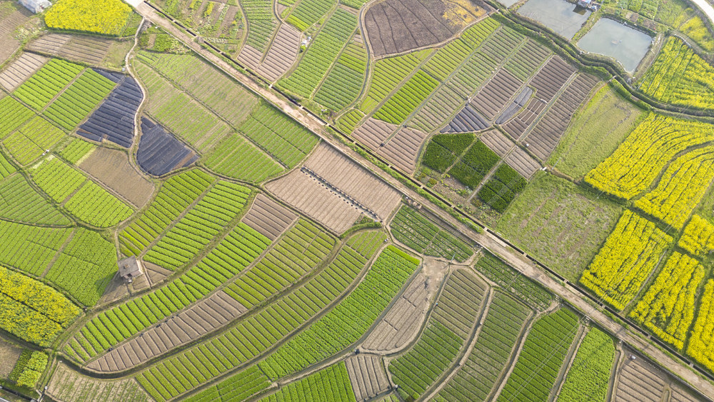 湖南娄底 春日 田园  五彩斑斓 春意盎然
