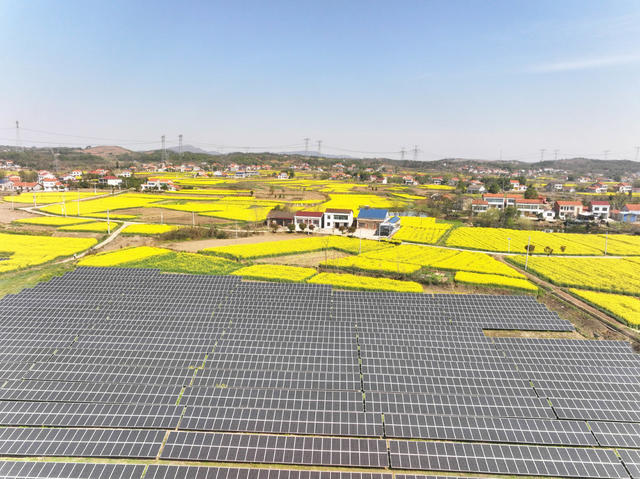 产业发展  乡村振兴  光伏发电  油菜花