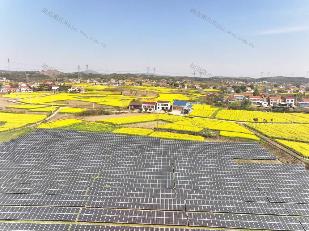 产业发展  乡村振兴  光伏发电  油菜花