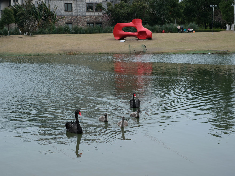 李自健美术馆，天鹅湖，