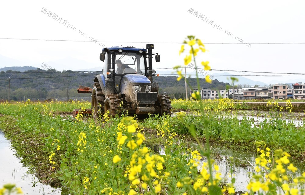   春耕农忙