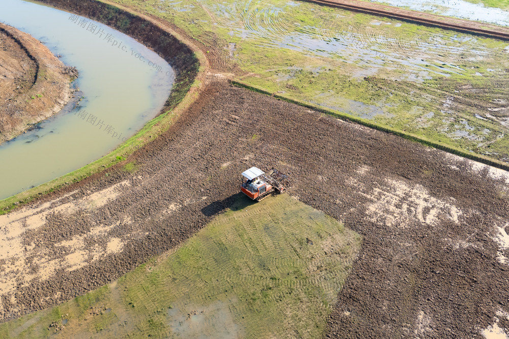 早稻生产 春耕