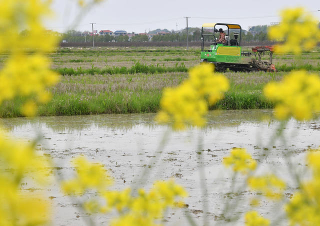 春分、春管、春耕、春种