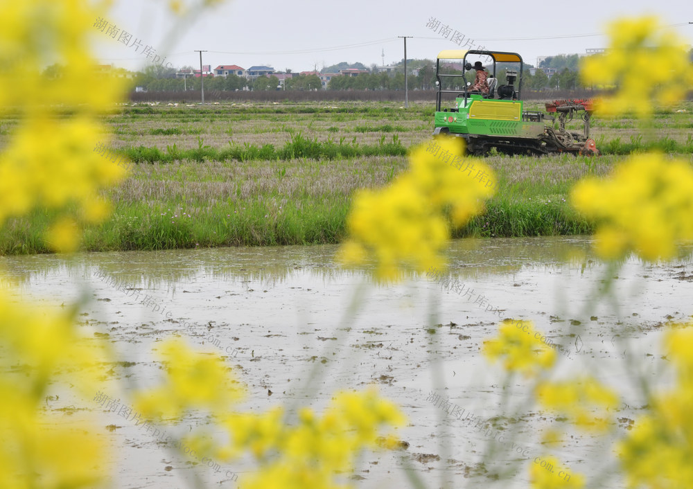 春分、春管、春耕、春种