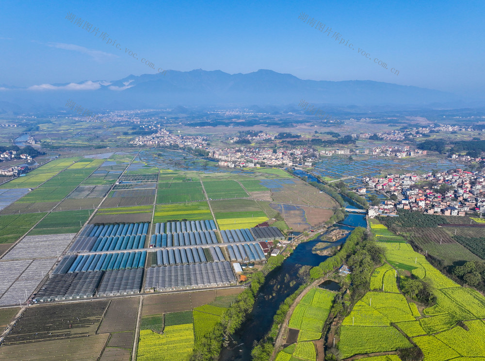 特色
乡村振兴
道县