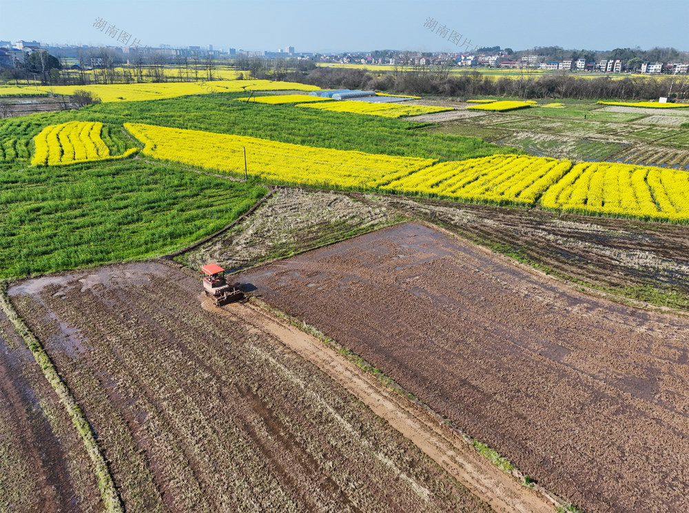 春分  农事  生产  田间 春耕  翻耕