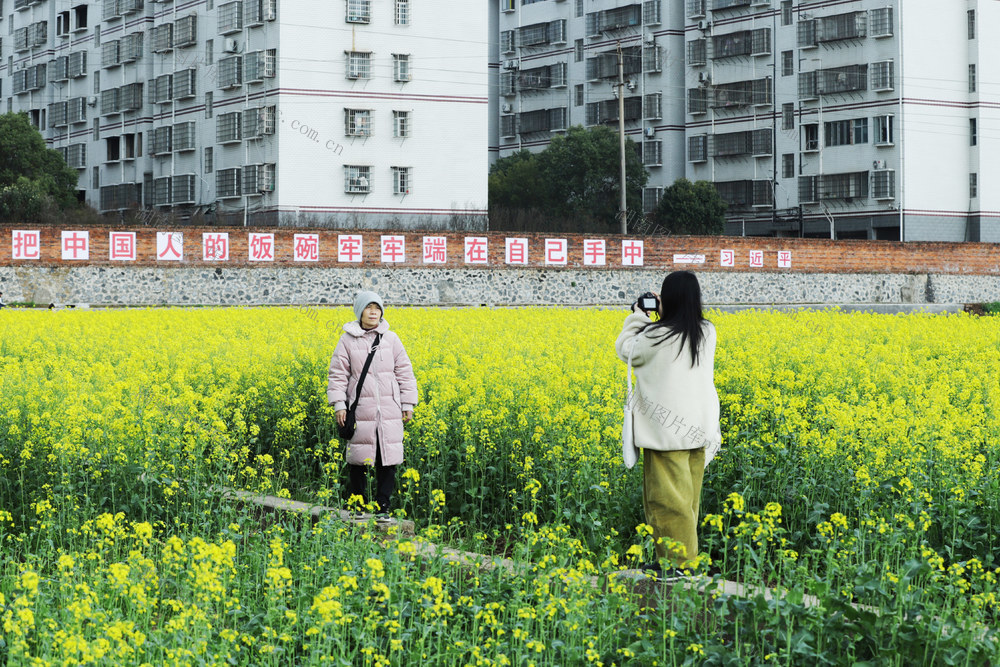 永州  油菜花 打卡