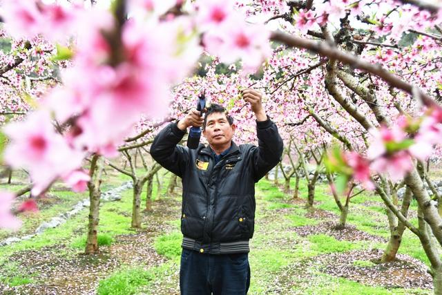 春分将至农事忙