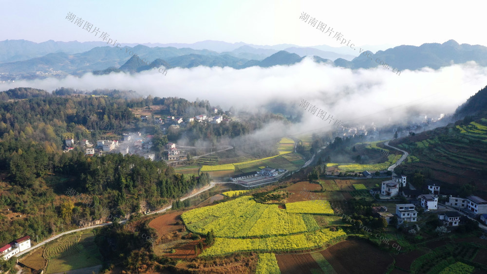 春光　美丽乡村　乡村振兴　