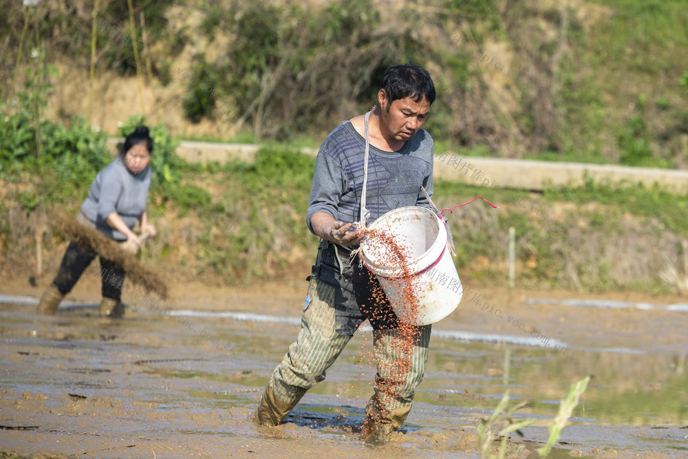 娄底 春日 春耕 春播 育秧