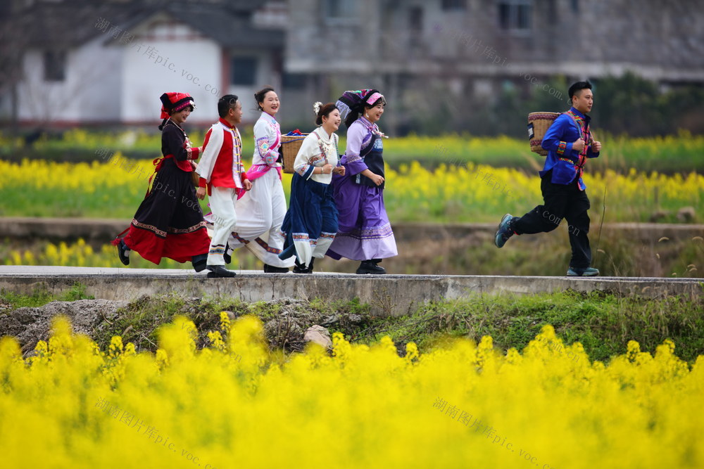 湖南，龙山，春日，踏春，油菜花，游人，赏花打卡，拍照留影