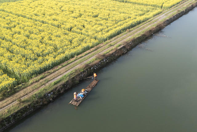 双峰 春日 清漂 水环境 水生态 保洁