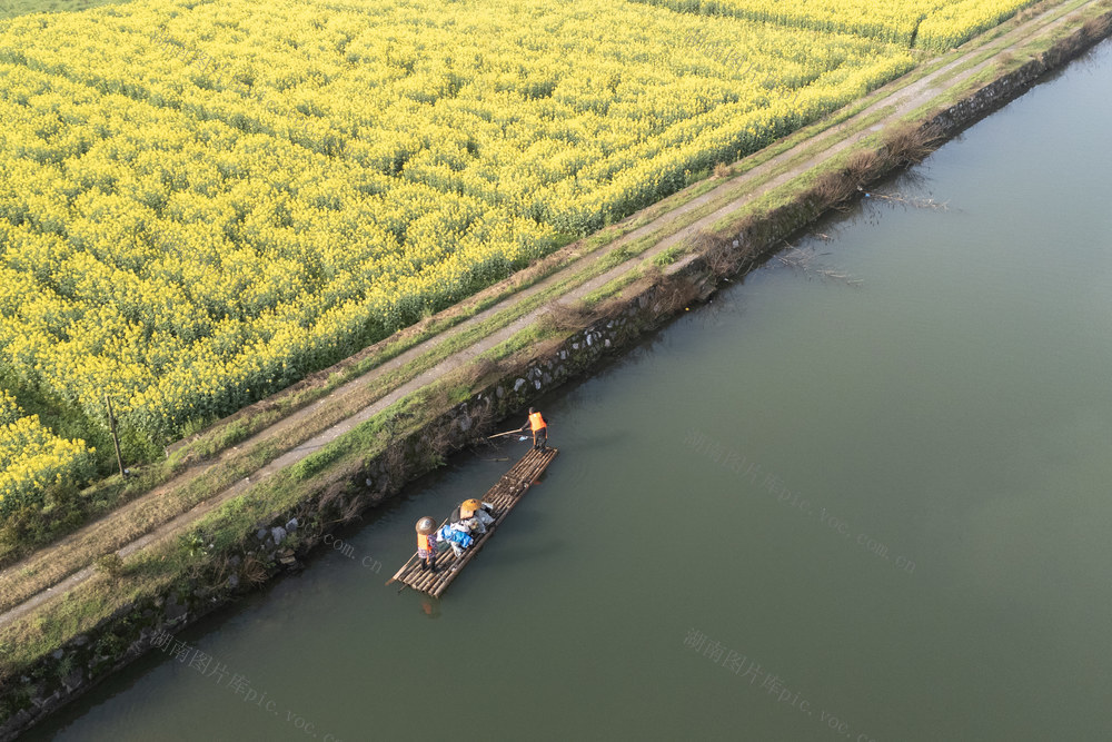 双峰 春日 清漂 水环境 水生态 保洁