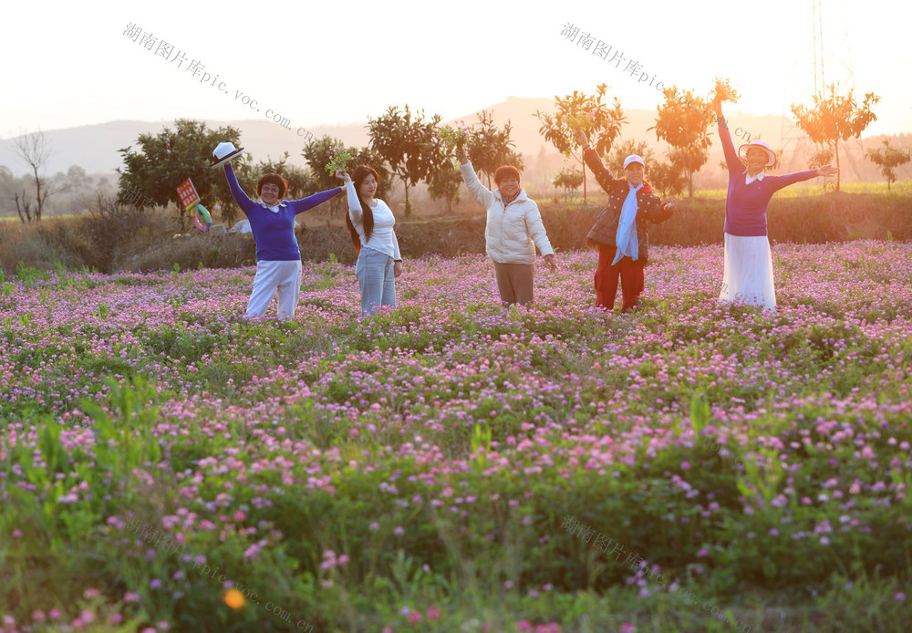 赏花 踏青