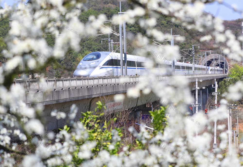 春光 踏青 赏花