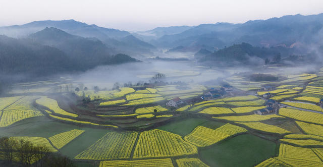 美丽乡村，中方黄溪，油菜花海