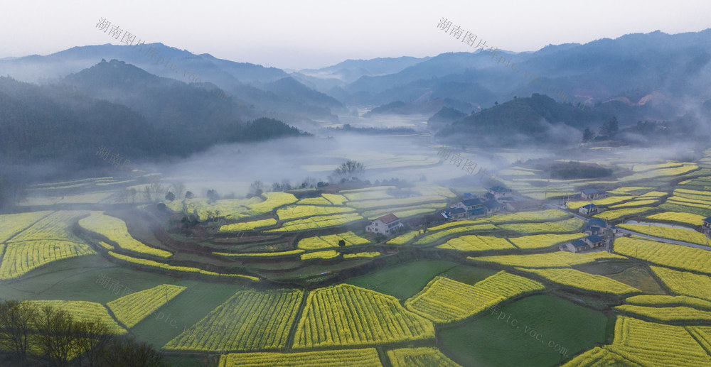美丽乡村，中方黄溪，油菜花海