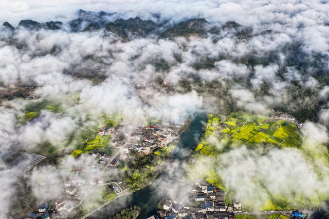 乡村 春景 云雾 村 生机 油菜花