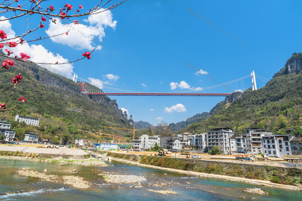 春分时节    景明如画   蓝天白云醉人   花红枝绿相映   矮寨大桥飞架长虹   