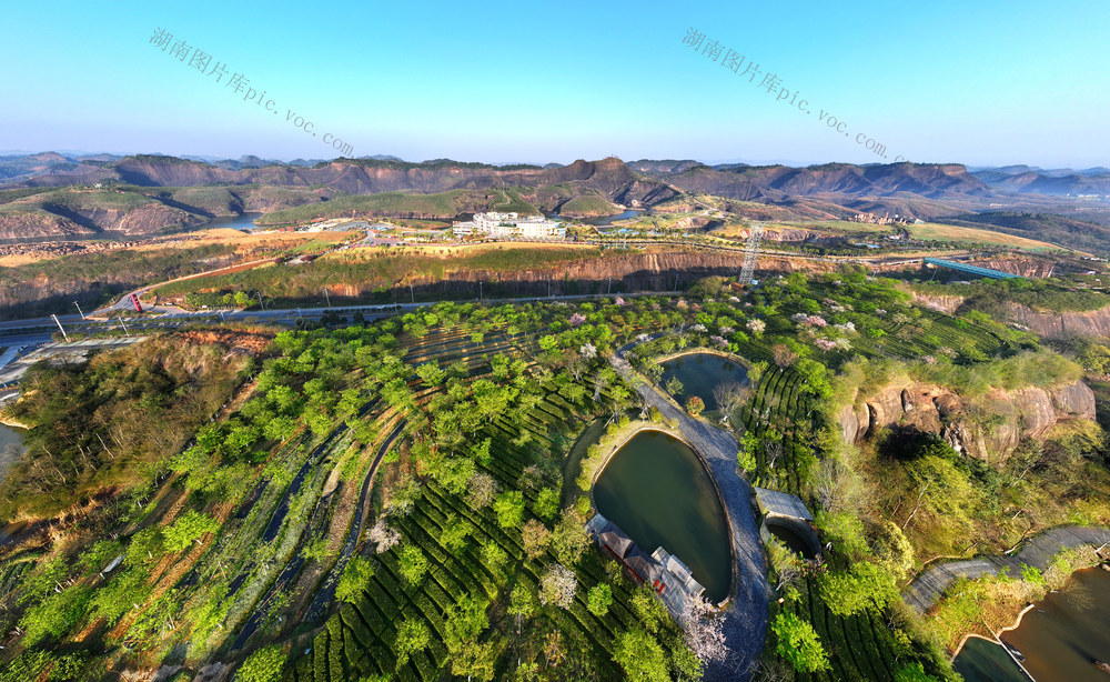 丹霞碧水  春和景明  气温回暖 
 湖南  郴州  苏仙区  高椅岭 
 景区  丹霞碧水  茶园  景观 
 壮美  如诗如画  春日画卷 乡村旅游  高椅岭  热门旅游  网红打卡  游客  自然  春天 