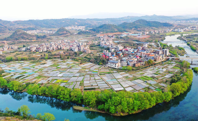 嘉禾：产业兴  乡村美