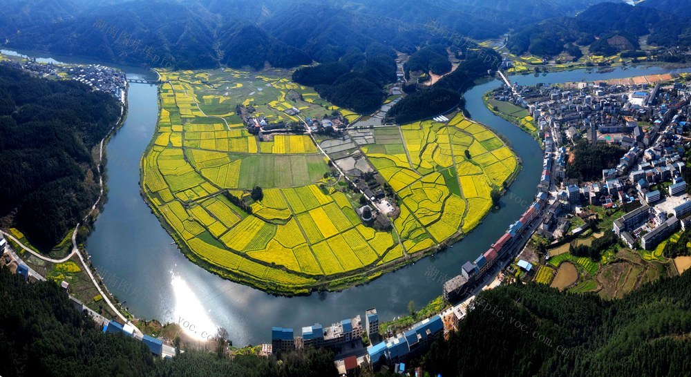 通道 播阳 油菜 花 旅游 美景 