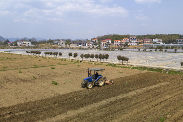娄底 春分至 耕种 春耕 农机
