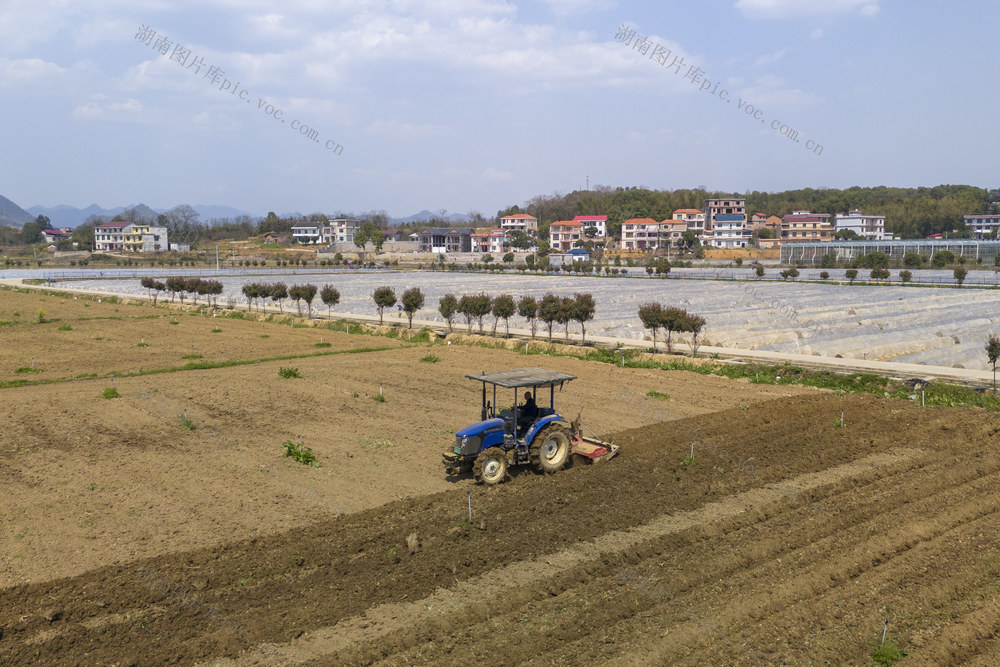 娄底 春分至 耕种 春耕 农机