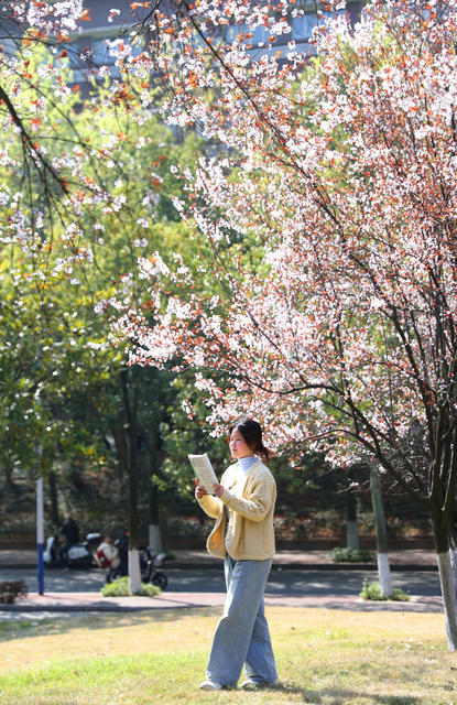 校园 春意 春色 春花 