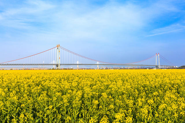 旅游，美景，春天，油菜花，岳阳旅游节
