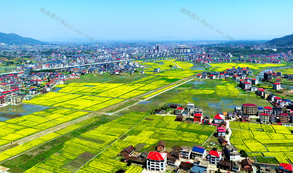 旅游，乡村，新农村，油菜花