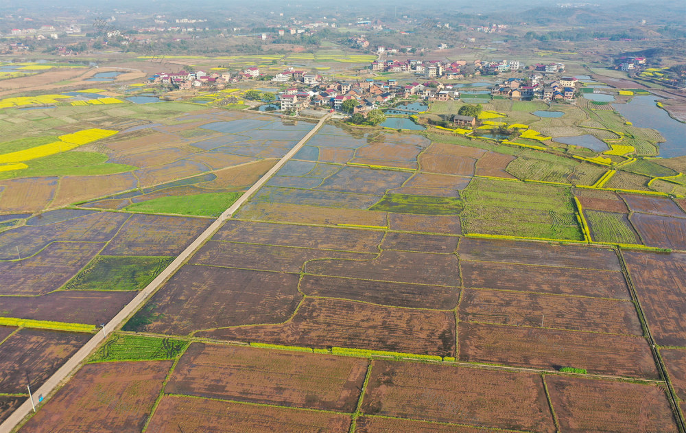 田园  和美  乡村  农村  农田  风景