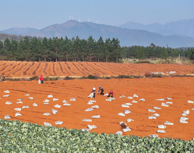 特色
道县
春分