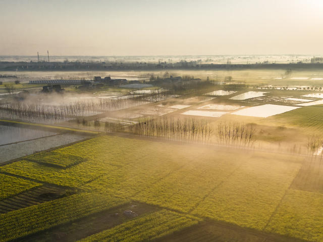 清晨 早上 晨雾 油菜花 田野 乡村 土地 阳光 光线 晴天 太阳 水田 田地 庄稼 自然 风景 绿色 倒影 天空 白昼 风光 自然风光 生活