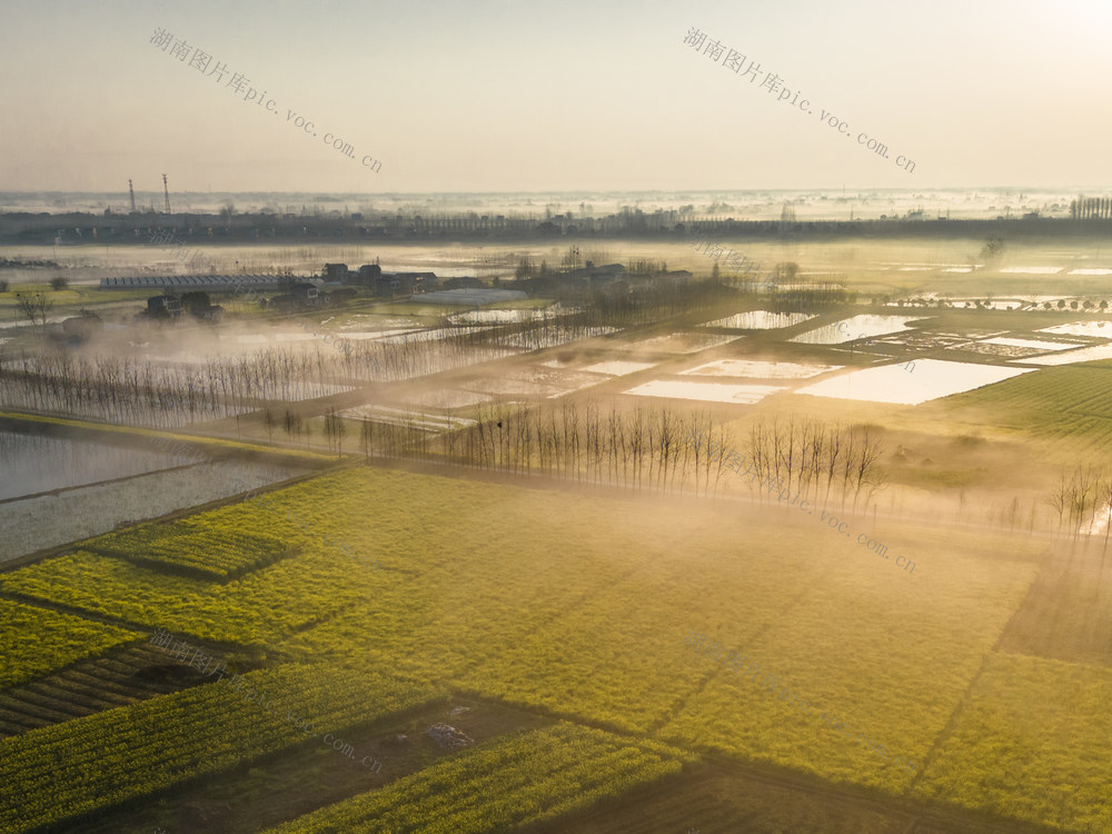 清晨 早上 晨雾 油菜花 田野 乡村 土地 阳光 光线 晴天 太阳 水田 田地 庄稼 自然 风景 绿色 倒影 天空 白昼 风光 自然风光 生活