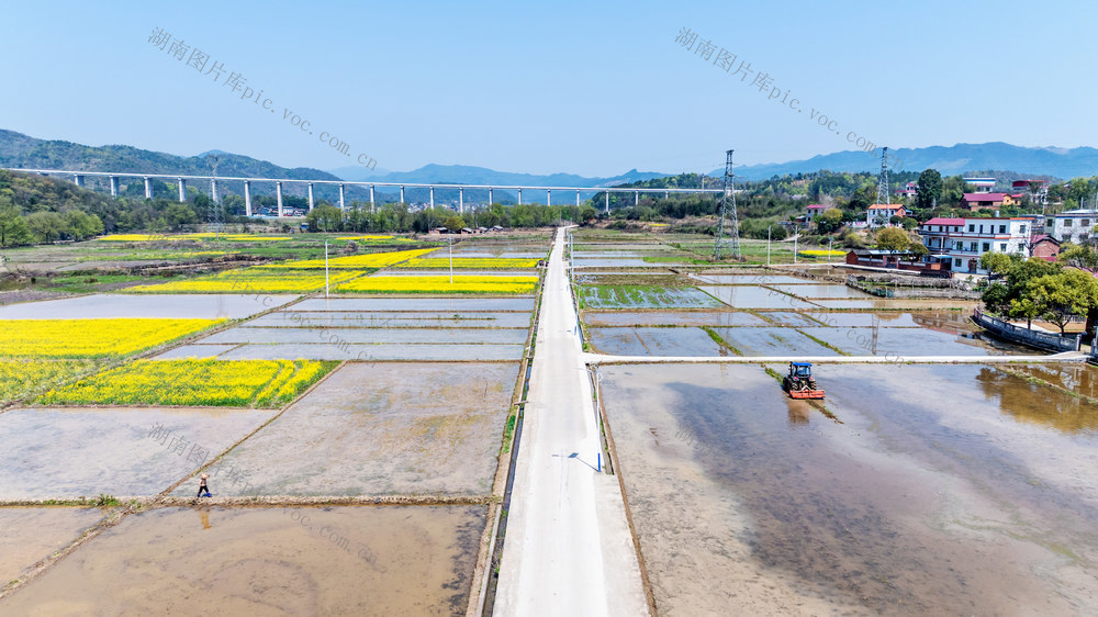 粮食生产  早稻  春耕  备耕  农机  忙碌