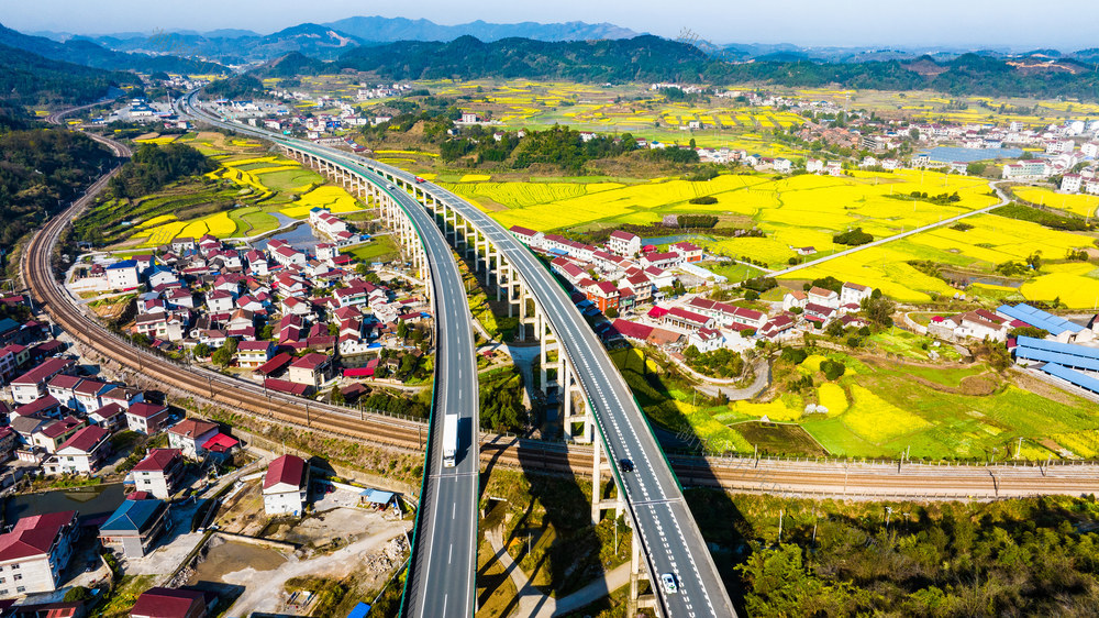 交通  高速公路  春天  油菜花
