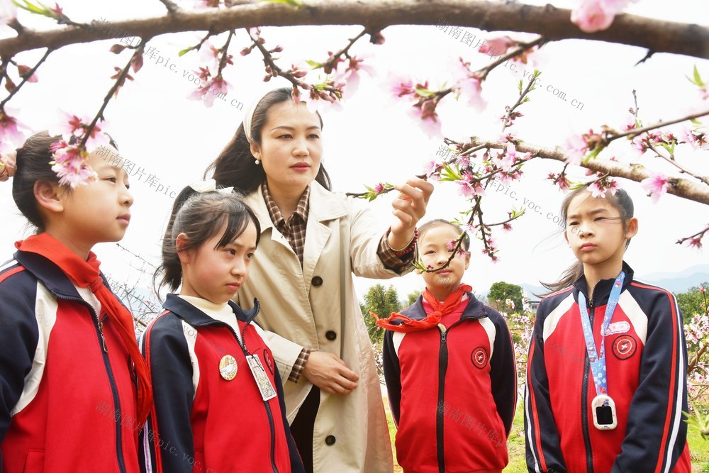  果园实践欢乐多