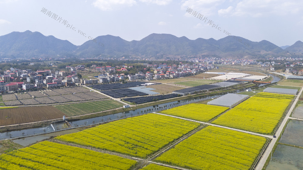 涟源 生态美 春日 产业兴 乡村田园