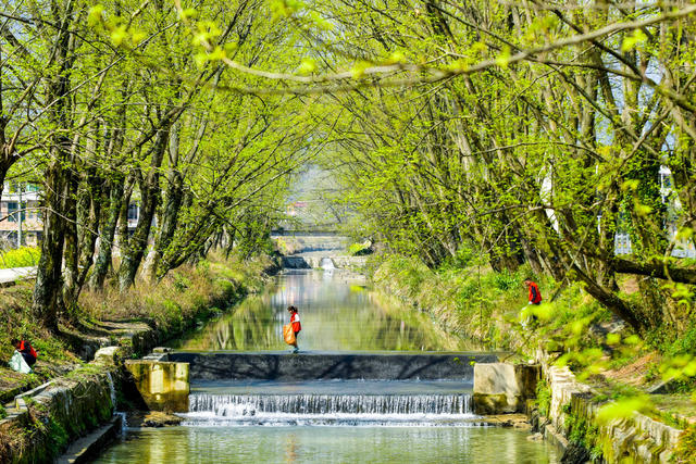 世界水日  环境  生态  河道  垃圾  志愿