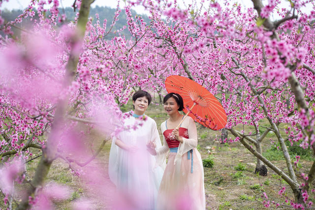 娄星区 桃花 踏青赏花 春日