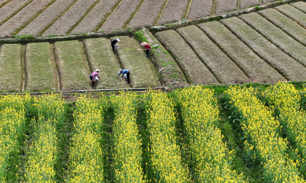 农事 春分
春暖