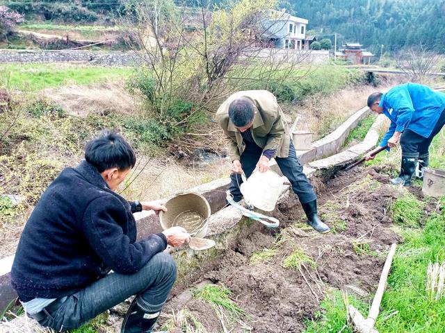 水圳  维修 村民 增收
