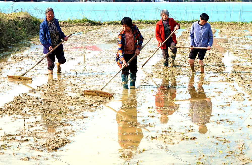 农村，春耕生产，备耕备农，