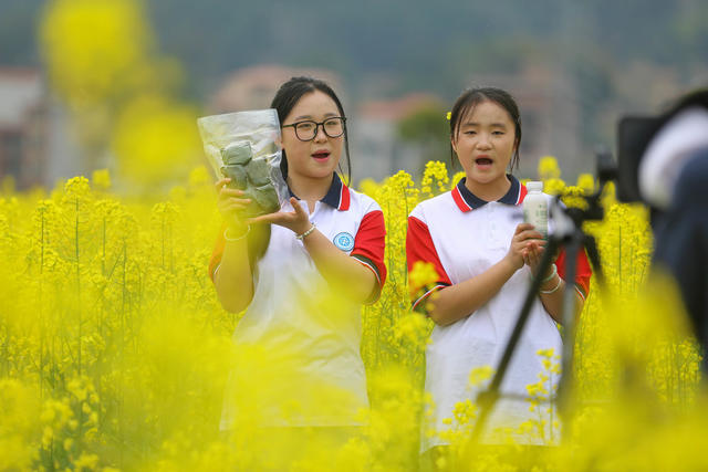 思政 直播 魏源 魏源故居 油菜花 学生 职业学生 教育