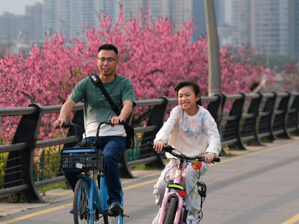 浏阳河畔赏桃花 