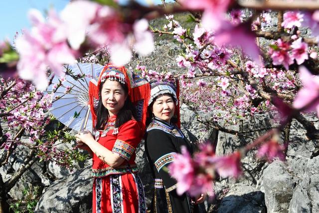  踏青赏花 乐享春光