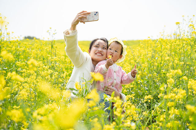 农业 旅游 乡村振兴 花海经济