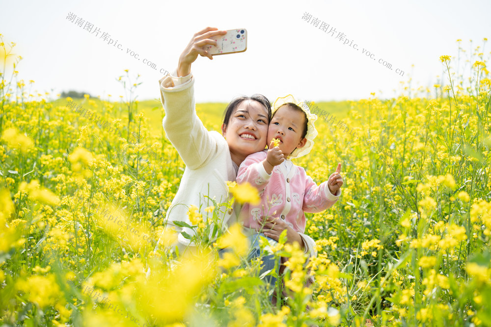 农业 旅游 乡村振兴 花海经济