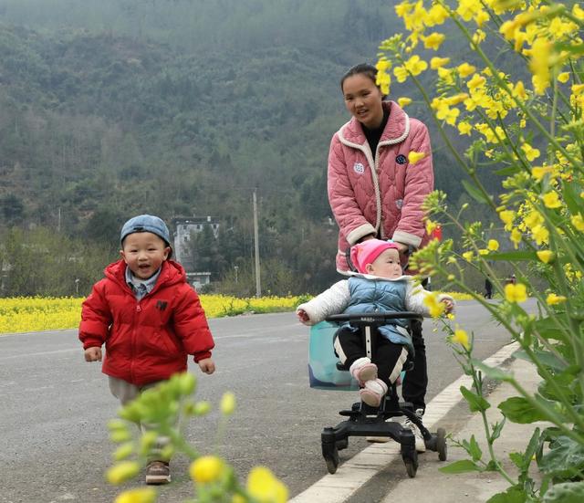     油菜花开醉游人